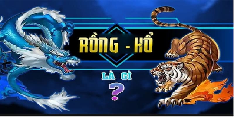  Rồng Hổ Win55 là trò chơi thu hút nhiều hội viên 