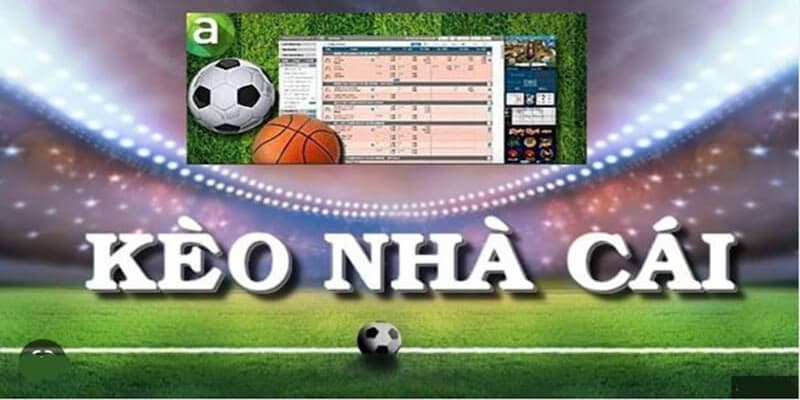 Chiến lược soi kèo nhà cái hiệu quả