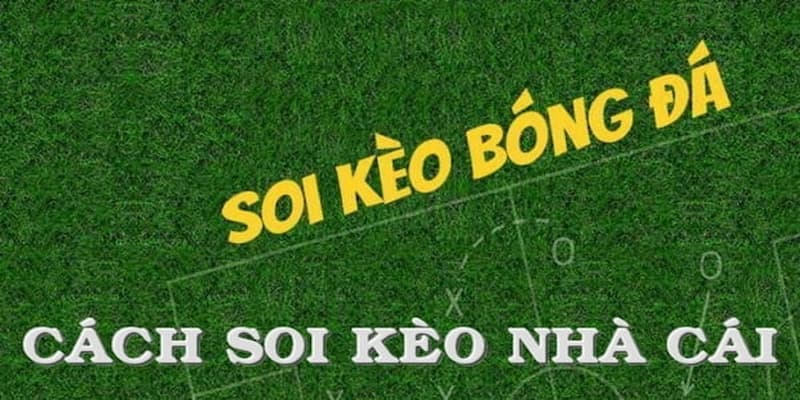 Hướng dẫn cách soi kèo nhà cái  WIn55